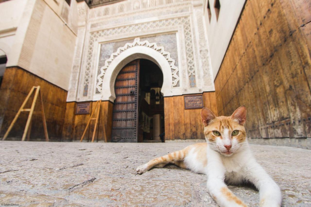 Riad Anis Фес Екстер'єр фото